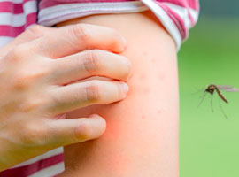 Dengue: una epidemia aun incontrolable
