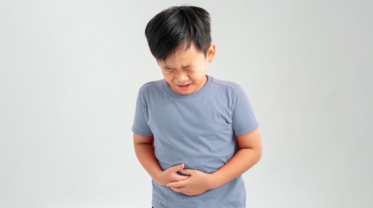 Parasitosis en verano, ¿Cómo prevenirla?